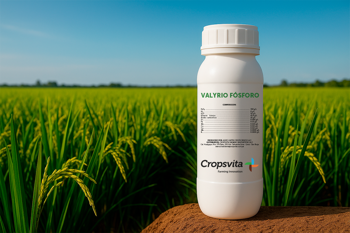 CROPSVITA_VALYRIO-FOSFORO